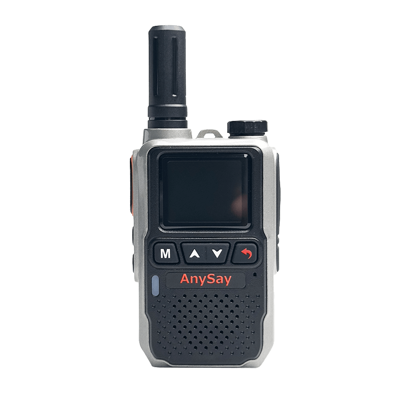 BL810 public network radio